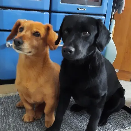 Turista * Павчина-Легота