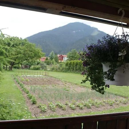 Apartman Turista Paucsinalehota